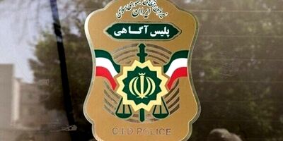 تشکیل تیم تخصصی برای یافتن ردی از دختر گمشده