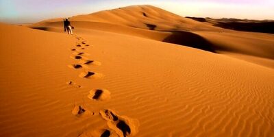نجات ۳ گمشده کویر آرادان به مدد پهپادهای امدادی
