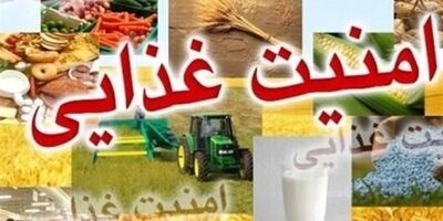  ضریب امنیت غذایی کشور به ۸۰ درصد رسید 