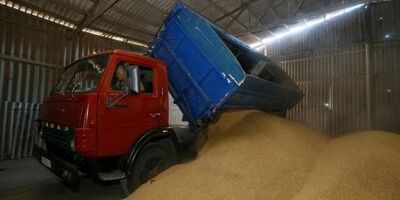 پیش‌بینی برداشت و صادرات غلات اوکراین، افزایشی شد