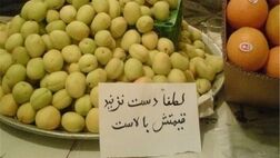 قیمت میوه همچنان بر مدار گرانی