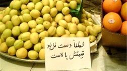 قیمت میوه همچنان بر مدار گرانی