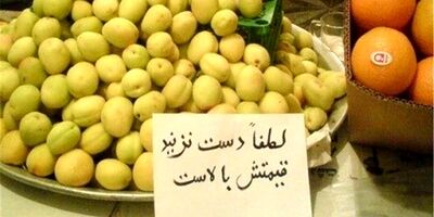 قیمت میوه همچنان بر مدار گرانی