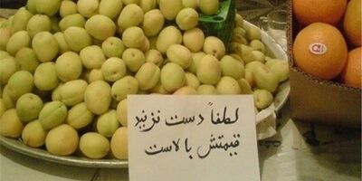 قیمت میوه همچنان بر مدار گرانی