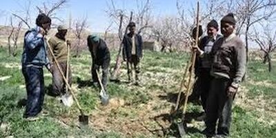 مستمری سال ۱۴۰۰ بیمه‌شدگان بیمه روستاییان و عشایر تعیین شد