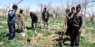 مستمری سال ۱۴۰۰ بیمه‌شدگان بیمه روستاییان و عشایر تعیین شد