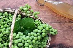 فشار خون بالا را با آبغوره مهار کنید / آبغوره کلید سلامت قلب و عروق