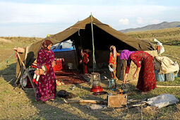 بیمه رایگان زنان روستایی دارای ۳ فرزند و بیشتر/ افزایش ۳۰درصدی مستمری بیمه‌شدگان
