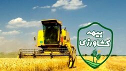 سهم صندوق بیمه کشاورزی، ۱۲ هزار میلیون ریال تعیین شد