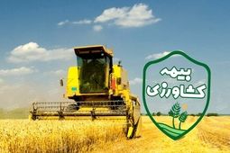 ضریب پوشش بیمه‌ای کشاورزی تا ۷۰ درصد افزایش می‌یابد