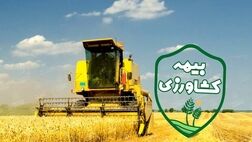 سهم صندوق بیمه کشاورزی، ۱۲ هزار میلیون ریال تعیین شد