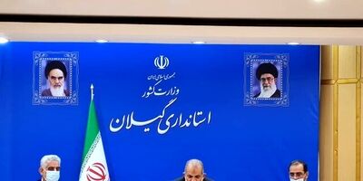 افزایش ۲۰ درصدی تولید برنج امسال در کشور