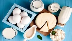 لبنیات ارزان‌تر در سبد کالابرگ/ دلیل افزایش قیمت‌ها در بازار چیست؟