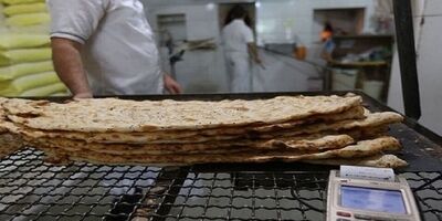 کمبود نان نداریم / در صورت نیاز سهمیه آرد استان‌ها افزایش می‌یابد