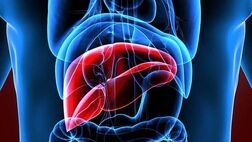 تغذیه مناسب برای تقویت سلامت کبد
