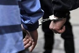  دستگیری عاملان حمله مسلحانه در شمال تهران 
