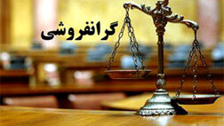بیشترین شکایات بر اساس نوع تخلف مربوط به گرانفروشی و تقلب است