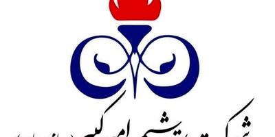 محسن خدائیان چگنی عضو هیات مدیره شرکت پتروشیمی امیرکبیر شد