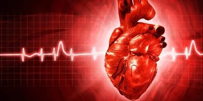 کدام بیماری‌ها عامل تپش قلب در هنگام استراحت هستند؟
