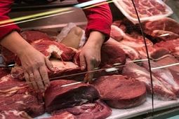 
فعالیت صنایع مرغ و گوشت ۳ شیفت می‌شود