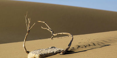 زاینده‌رود فردا بسته می‌شود