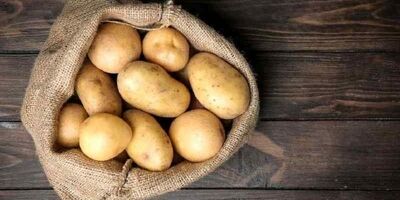 واردات سیب زمینی تا اردیبهشت ادامه دارد 