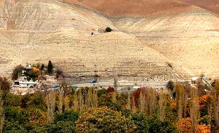 thm_18560241_135