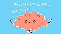 چه فعالیت‌هایی موجب افزایش سطح دوپامین در بدن می شوند؟