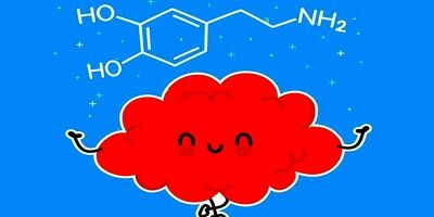چه فعالیت‌هایی موجب افزایش سطح دوپامین در بدن می شوند؟