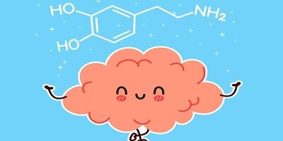 چه فعالیت‌هایی موجب افزایش سطح دوپامین در بدن می شوند؟