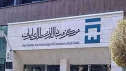 
اعلام نحوه فعالیت بازار ارز تجاری طی امروز و فردا