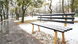 بارش اولین برف پاییزی در اردبیل + عکس