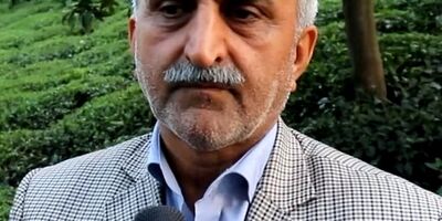 تمدید بیمه خشکسالی باغ‌های چای تا ۱۰ تیر
