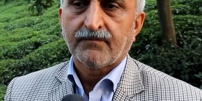 تمدید بیمه خشکسالی باغ‌های چای تا ۱۰ تیر