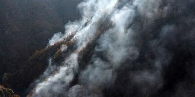 آتش‌سوزی جنگل های رودبار و سیاهکل مهار شد