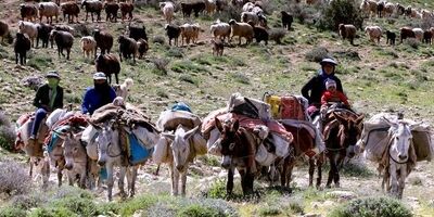 ایجاد ۴۲۰۰ صندوق برای زنان روستایی و عشایری در کشور