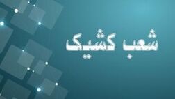 اعلام شعب کشیک بانک توسعه صادرات ایران تا پایان شهریورماه سال جاری
