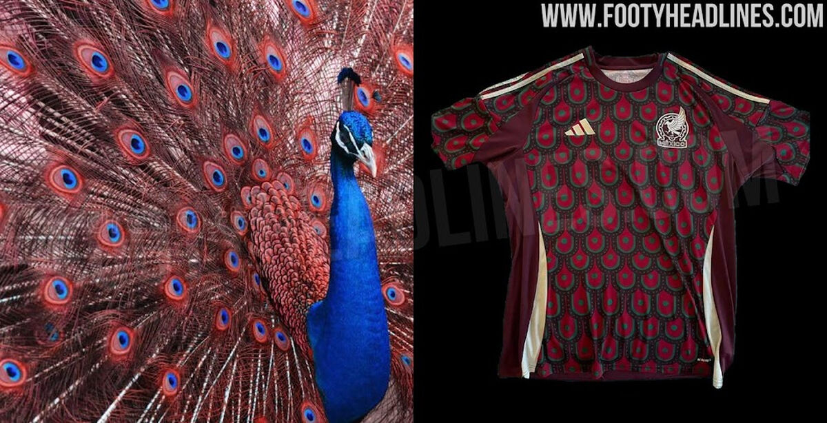 تیم‌ مکزیک با طاووس به کوپا آمه ریکا می رود