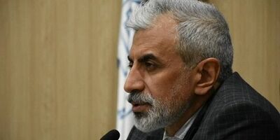 خانوارهای دارای سه فرزند متقاضی مسکن به شهر جدید هدایت می شوند