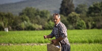 سهم طرح‌های توسعه‌ای از کیک تسهیلات بانکی بخش کشاورزی ، ناچیز