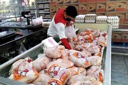 قیمت هرکیلو مرغ ۳۴۰ هزارتومان/ قیمت مرغ تا پایان اردیبهشت نوسانی ندارد

