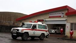 ۱۱۰ خودروی امدادی هلال‌احمر از گمرک ترخیص شد
