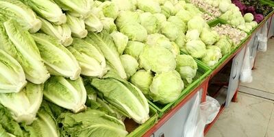 ­کاهش قیمت سبزیجات برگی و غیربرگی در میادین و بازار‌های میوه و تره بار