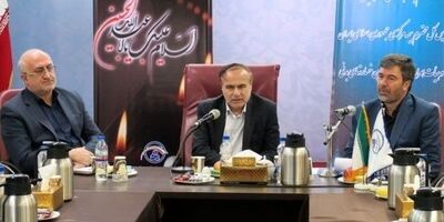 صندوق تامین خسارت های بدنی می تواند در رفاه اجتماعی نقش آفرینی کند
