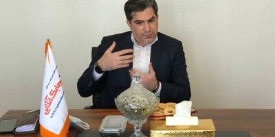 بسیاری از اموال دولتی بیمه نیستند