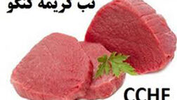 تب کریمه کنگو در تهران مشاهده نشده است