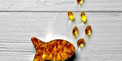 این غذاها بمب «امگا ۳» هستند