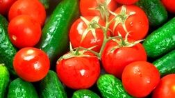 بازار گوجه فرنگی و خیار تا ۱۰ روز آینده متعادل می شود
