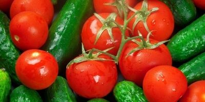 بازار گوجه فرنگی و خیار تا ۱۰ روز آینده متعادل می شود