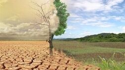  هر سال ۱ میلیون هکتار خاک ایران بیابان می‌شود 